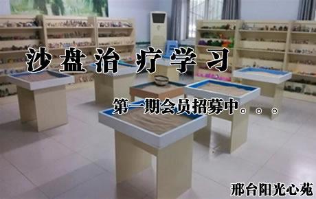 河北邢台阳光心苑第一期沙盘治疗学习班