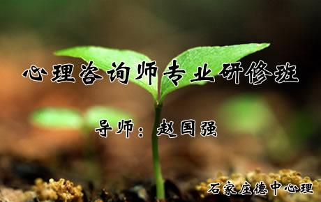 【德中心理】心理咨询师专业研修班
