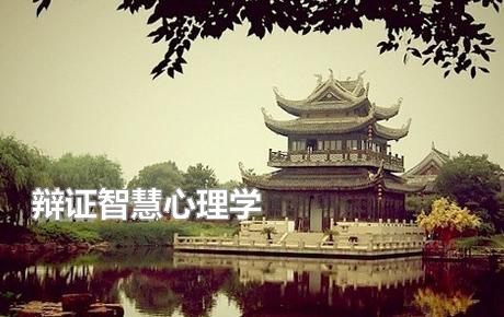 辩证智慧心理学