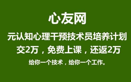 心友网-元认知心理干预技术员培养计划