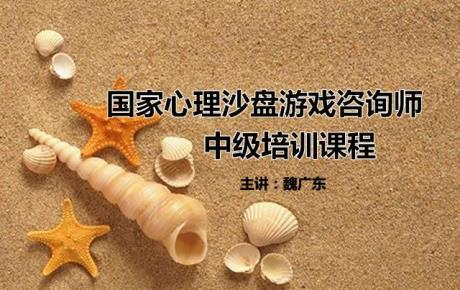 视频|魏广东:3天中级心理沙盘游戏咨询师工作坊