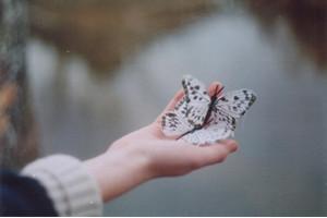 感恩痛苦，带你走向人生的制高点