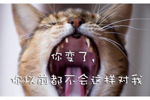婚姻家庭中吵架的艺术
