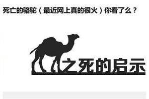 心理漫画：骆驼之死