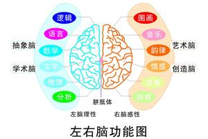 家长及同学们品言愉心2014首季【全脑开发】公开课开始招募了