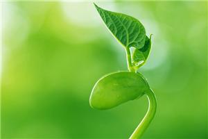 「心藝社·工作坊」HAO【生命本源】+【生命挑战】