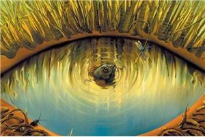 来上传最诡异的心理图片，看谁的最奇葩