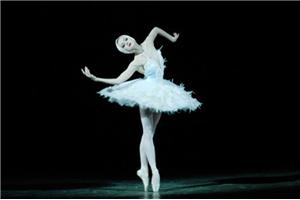 身心整合之生命之舞（第五期）