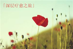 「心藝社·工作坊」深层疗愈之旅 By Peter Fan （2014年1月5日）