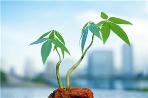 HAO生命挑战体验工作坊（家族系统排列+生命之声的双重体验）