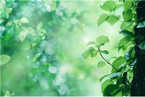 「心灵后院」第九期：生命之声（11.21周四晚）