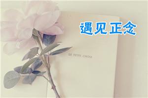 遇见正念让生活、心理与修心相遇