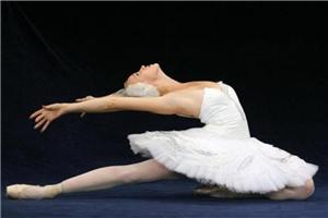 「灵动之心——舞动心灵成长工作坊」（10月19-20日）