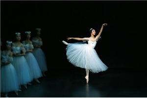 「灵动之心——舞动心灵成长工作坊」第三期