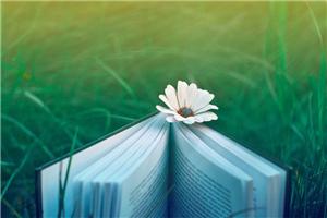 【如果你是一本书】唯爱与梦想不可辜负