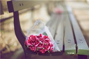 心理分析两年连续培养课程