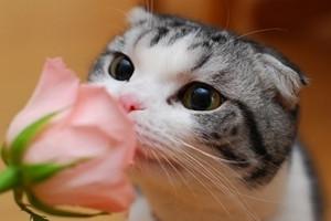 警惕独生子女五种心理障碍