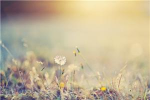 “伪心理学随手抽脸”线下活动召集令