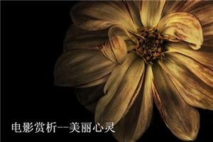 心理师班学员心理电影赏析--美丽心灵