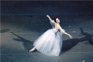 国际舞动治疗工作坊报名了