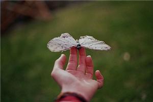 萨提亚个人成长俱乐部沙龙