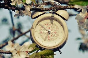无厘头研究：反应速度慢的人寿命短