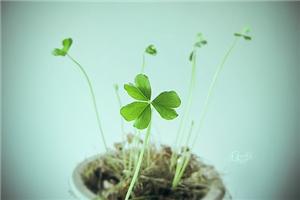 绘画疗法的治疗原理—袒露过程就是治愈过程