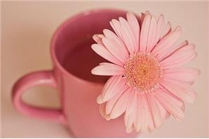 《一沙一世界—感受沙盘的心理艺术》公益讲座