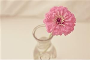 75道逻辑思维题