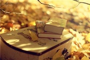 心理治疗师自我成长