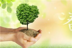 心理咨询师实习项目