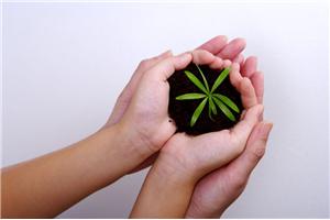 第四十二期欧文·亚隆团体咨询体验与成长沙龙