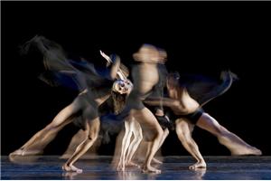 身心整合之生命之舞（第七期）