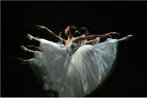 身心整合之生命之舞（第八期）