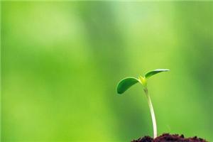 免费沙龙《OH卡在个案咨询中的应用》