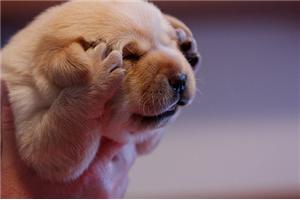 为什么会不敢与别人对视？