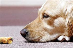 一个人并不意味着孤独