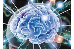 揭开男女之间的思维差异