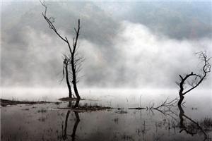 感谢那一次挣扎吧，虽然艰辛，疼痛.