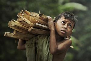 幸福点缀了生活，苦难却丰盈了生活。