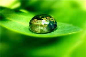 每个人都会有自己的用处，只要自己想要自己有用