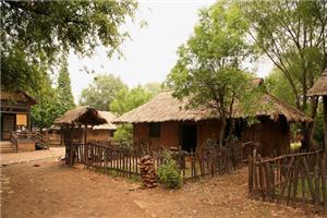 一个樵夫的故事