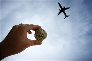 要开创自己不一样的人生，必须选定适合自己的方向。