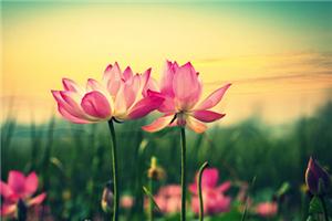 新年重要计划：常找朋友坐坐