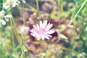 学员真情分享：我为何要选择1879？