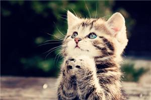 有时候“笨”一点没什么不好