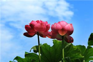 福报要靠自己去争取