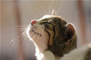 如何找到生活的激情呢？