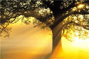 好心情才能欣赏好风光