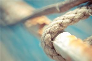 案例：罗杰斯与来访者共情